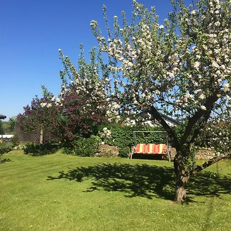Am Auf Grossem Grundstueck, Kaminofen *
